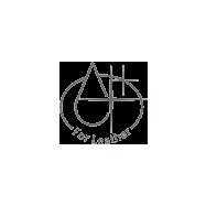 Lešticí houba na kůži Neutral Perfect Shine