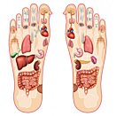 Detoxikační náplasti KINOKI